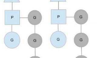 dinput8.dll dinput8.dll